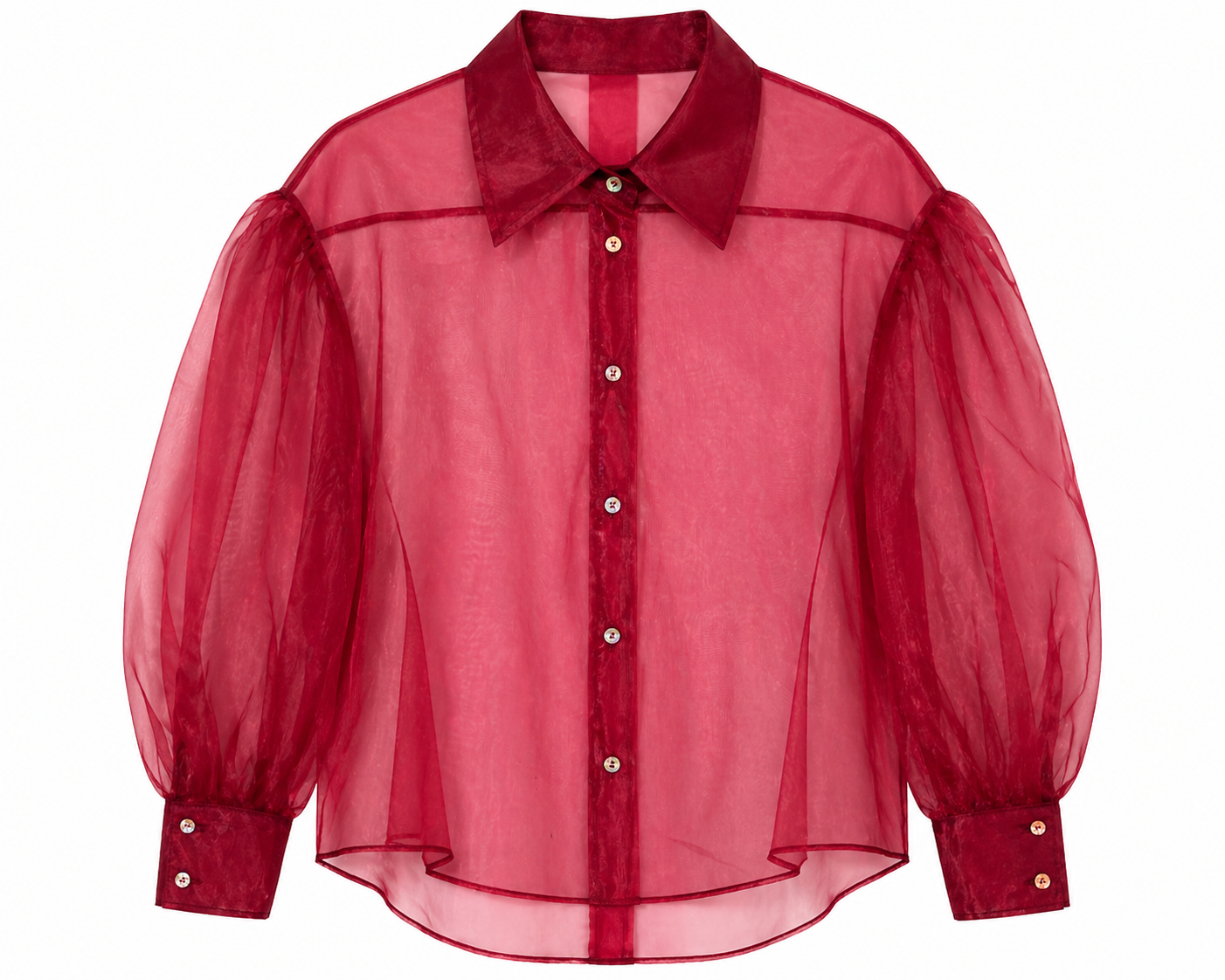 Sheer Organza Blouse