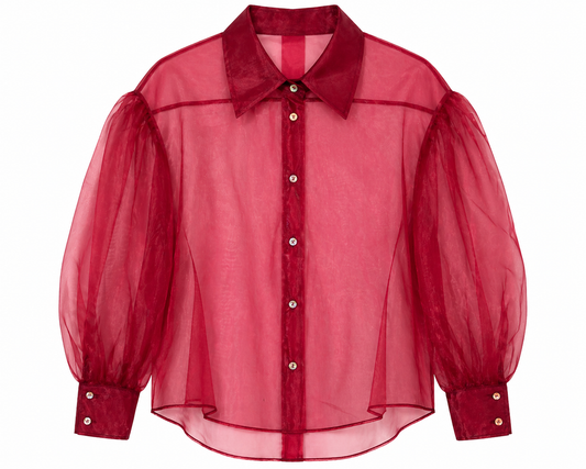Sheer Organza Blouse