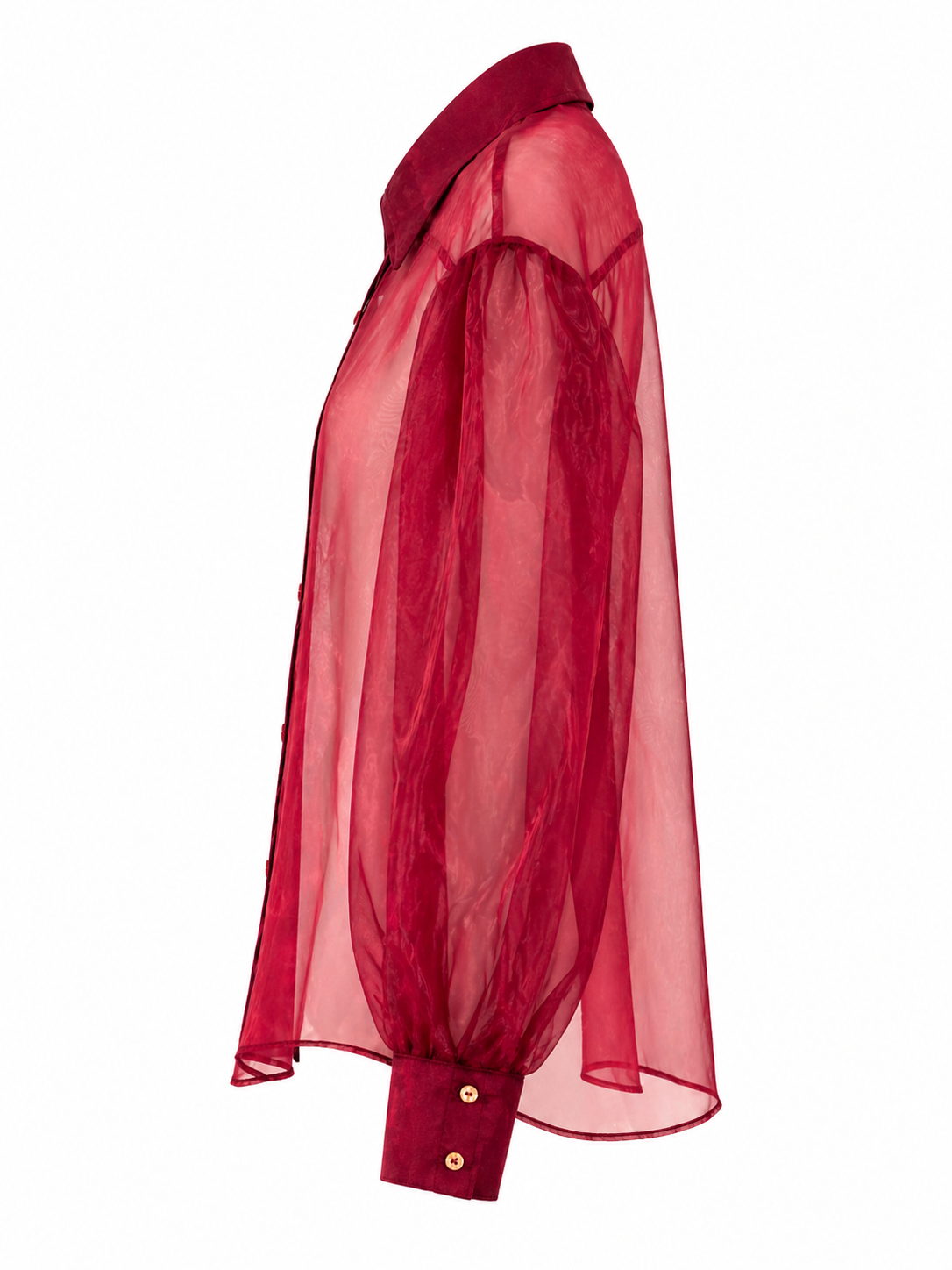 Sheer Organza Blouse