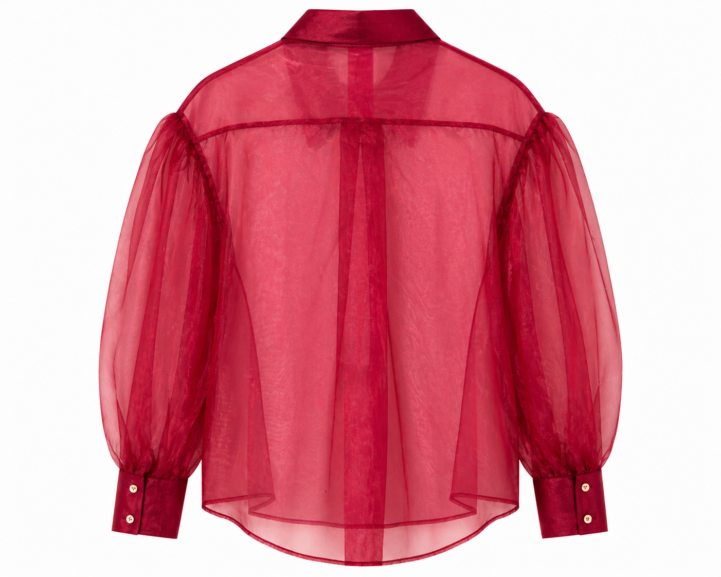 Sheer Organza Blouse
